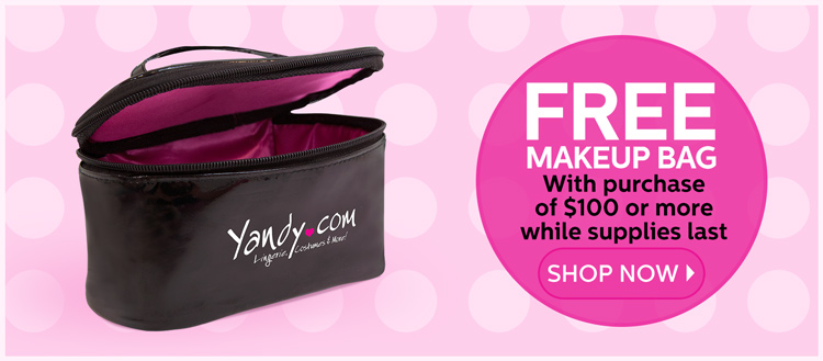 Free Makeup Bag with $100 Purchase
