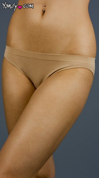 Classic Seamless Nylon Bikini Cut Panty, Classic Panty, Classic Cut Panty, Classic Brief Panty