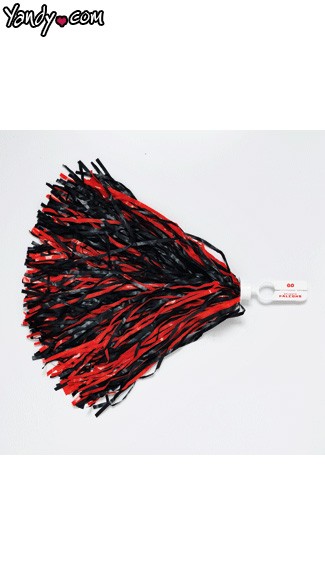 Atlanta Falcons Pom Poms, Atlanta Pom Poms, Falcons Cheerleader Pom Poms