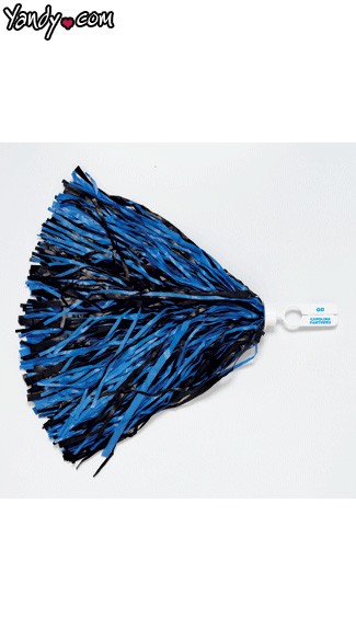 Carolina Panthers Pom Poms, Panthers Cheerleaders Pom Poms