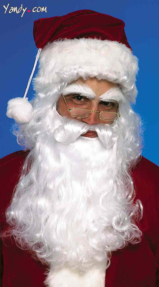 Santa Wig and Beard