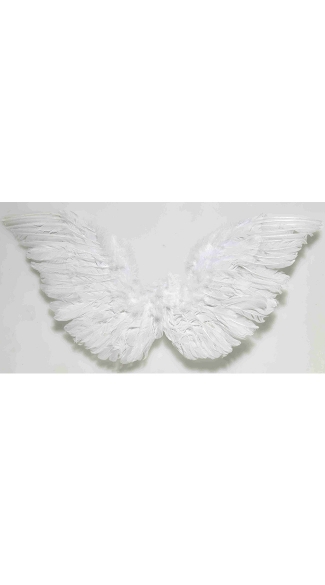 Small Angel Wings, Angel Halloween Costume, Angle Costume Wings