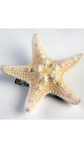 Mermaid Star Hair Clip, Starfish Mermaid Hair Clip, Mermaid Hair Accessories