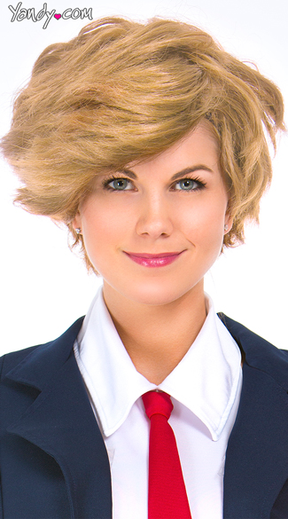 Comb Over Politician Wig, Comb Over Wig, Mens Politician Wig