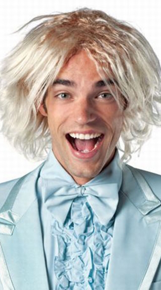 Dumb And Dumber Harry Wig, Mens Blonde Wig, Shaggy Wig