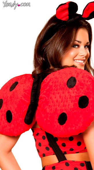 Lady Bug Wings, Polka Dot Wings, Ladybug Wings