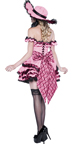 southern belle costume plus size