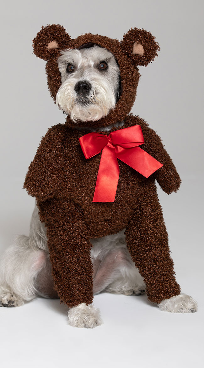 Teddy Bear Dog Costume, Fuzzy Teddy Bear Dog Costume 