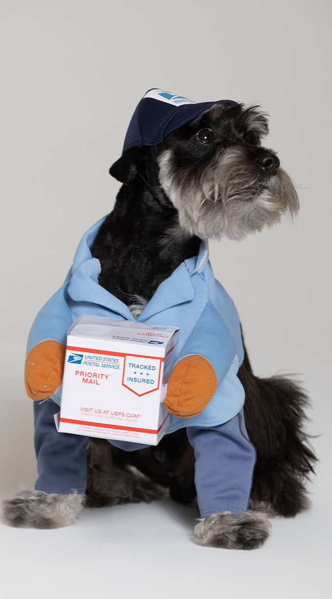 US Mail Carrier Pup Costume, Mailman Dog Costume