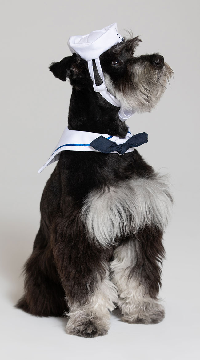 Small Pet Sailor Costume, Cat Small Dog Sailor Costume