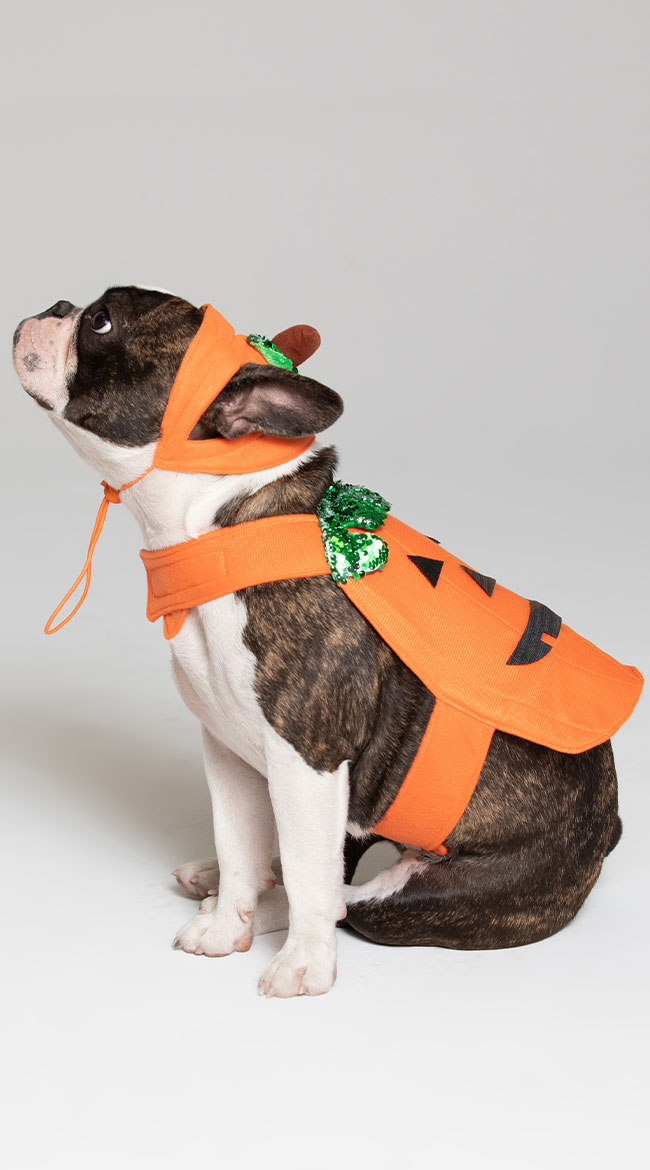 Pumpkin Pet Harness Costume, Pumpkin Dog Cat Costume