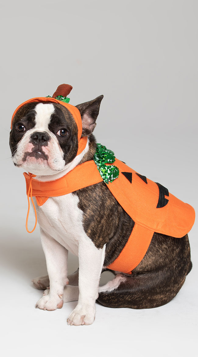 Boxer Dog Costume  Halloween Dog Costumes
