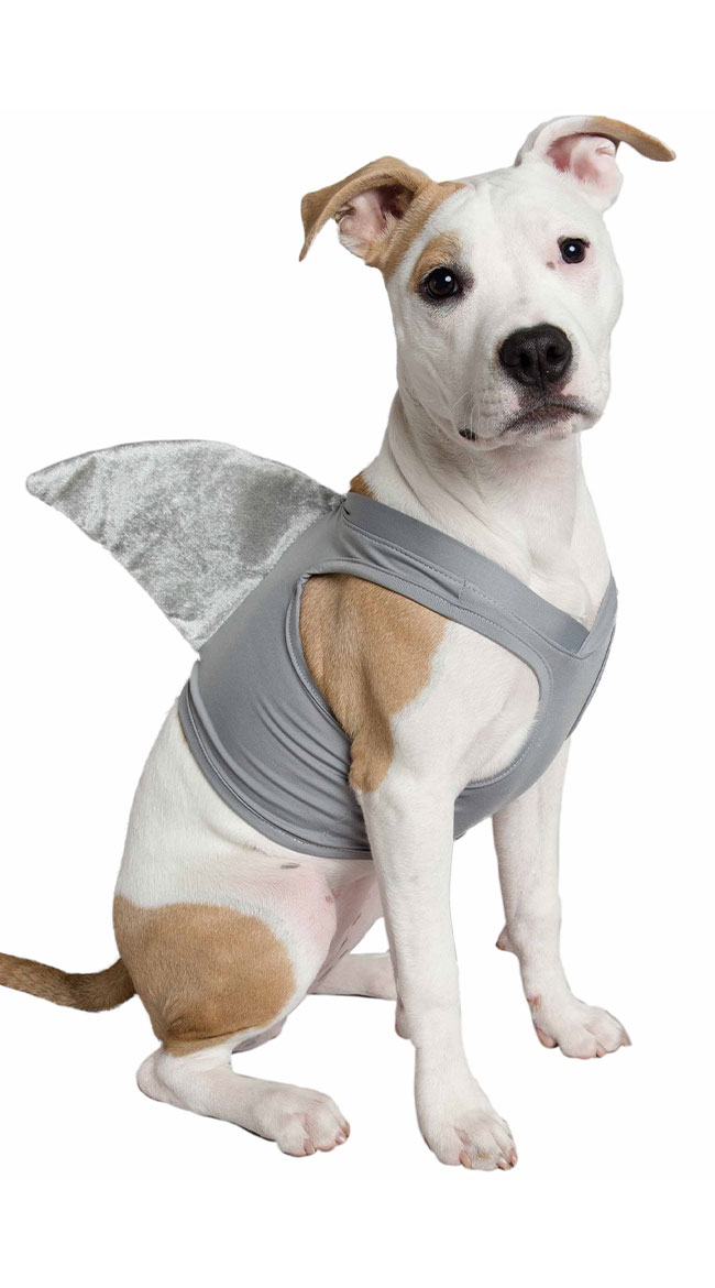 Shark Costume For Dog