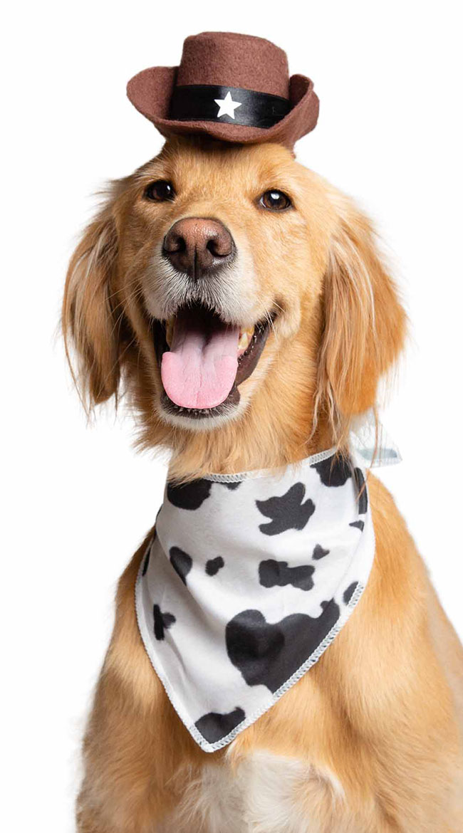 Western Pup Pet Costume, Cowboy Dog Costume