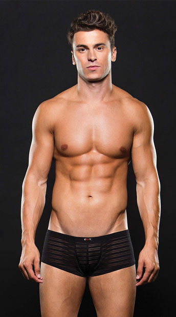 Men s Liam Stripe Brief Men s Brief Lingerie Yandy