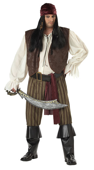 Plus Size Men's Rogue Pirate Costume, Plus Size Men's Pirate Costume ...