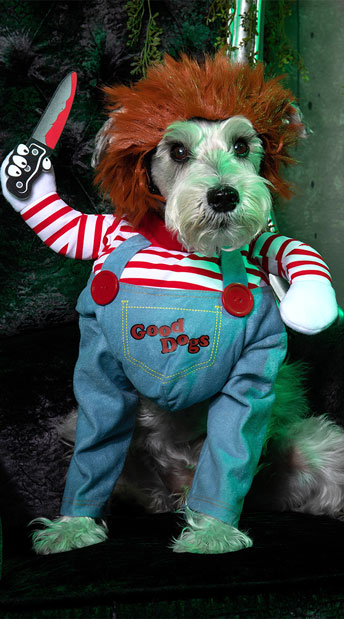 deadly doll dog costume