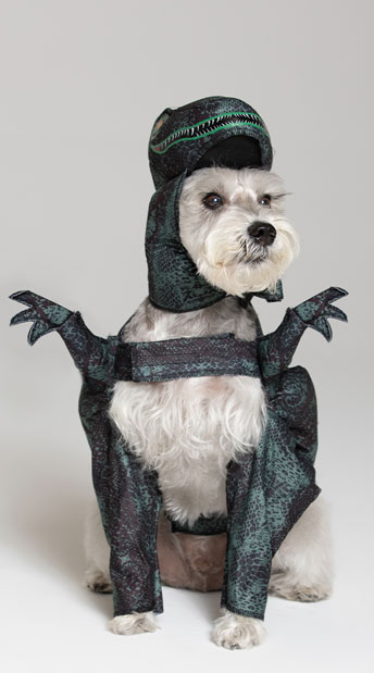 dino dog costume