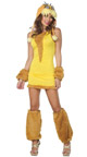 Lorax Hood and Yellow Dress, Women's Adult Lorax Halloween Costume