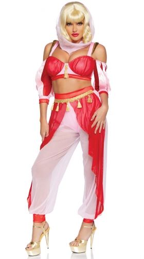 Women's Sexy Genie Costume