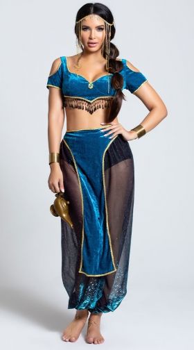 Sexy Jasmine Costumes Princess Jasmine Costumes Adult Jasmine Costumes Jasmine Halloween Costumes