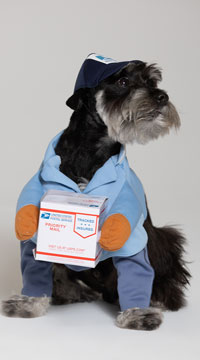 mail carrier costume pup dog everybody own sexy mailman