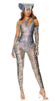  -  - Reptile