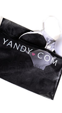 Yandy Black Lingerie Bag